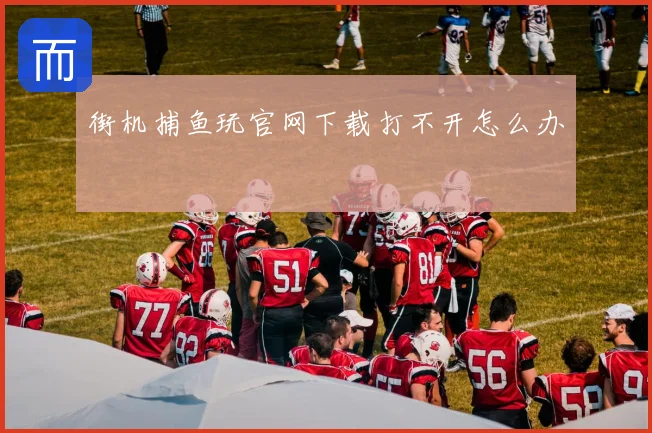 街机捕鱼玩官网下载打不开怎么办