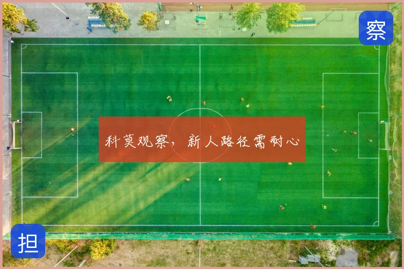 科莫观察,新人路径需耐心