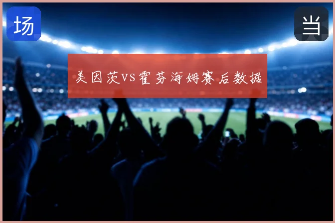 美因茨vs霍芬海姆赛后数据