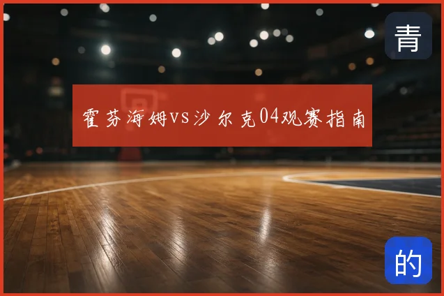 霍芬海姆vs沙尔克04观赛指南